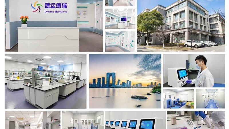 DNA纯化与RNA纯化：揭秘两者的本质区别