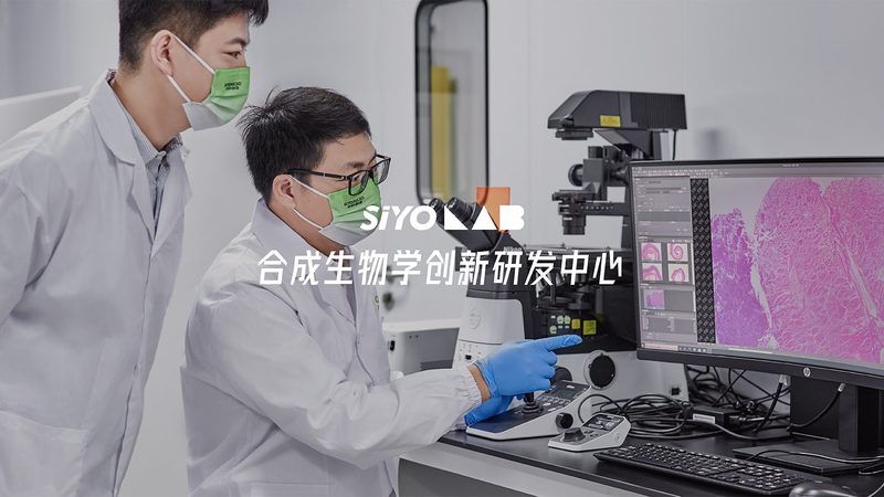 中国生物科技：揭秘排名前十的领军企业**