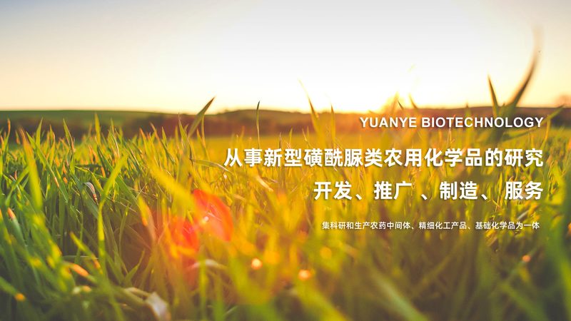 CRo测试与用户体验调研：本质区别与关键要点