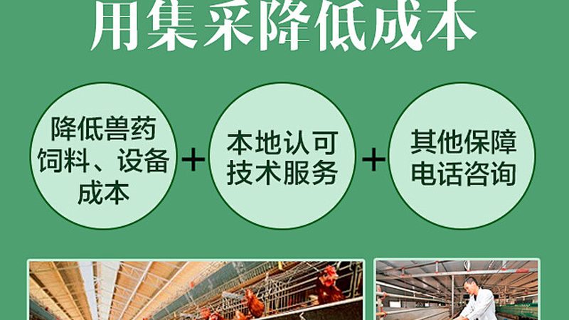 CDMO服务：揭秘其核心客户群体与行业影响力