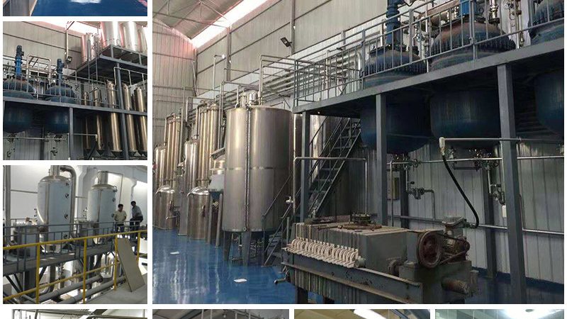 生物科技公司报价解析：揭秘定价背后的逻辑