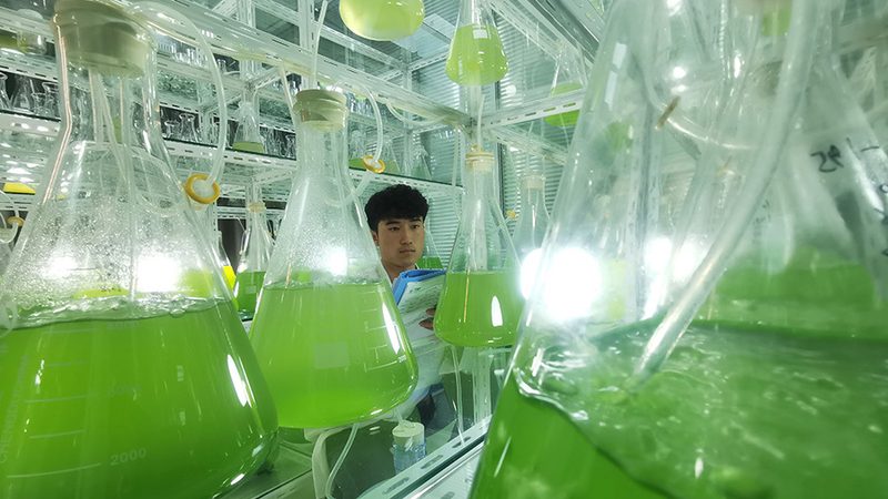 基因检测报告：如何准确解读关键信息